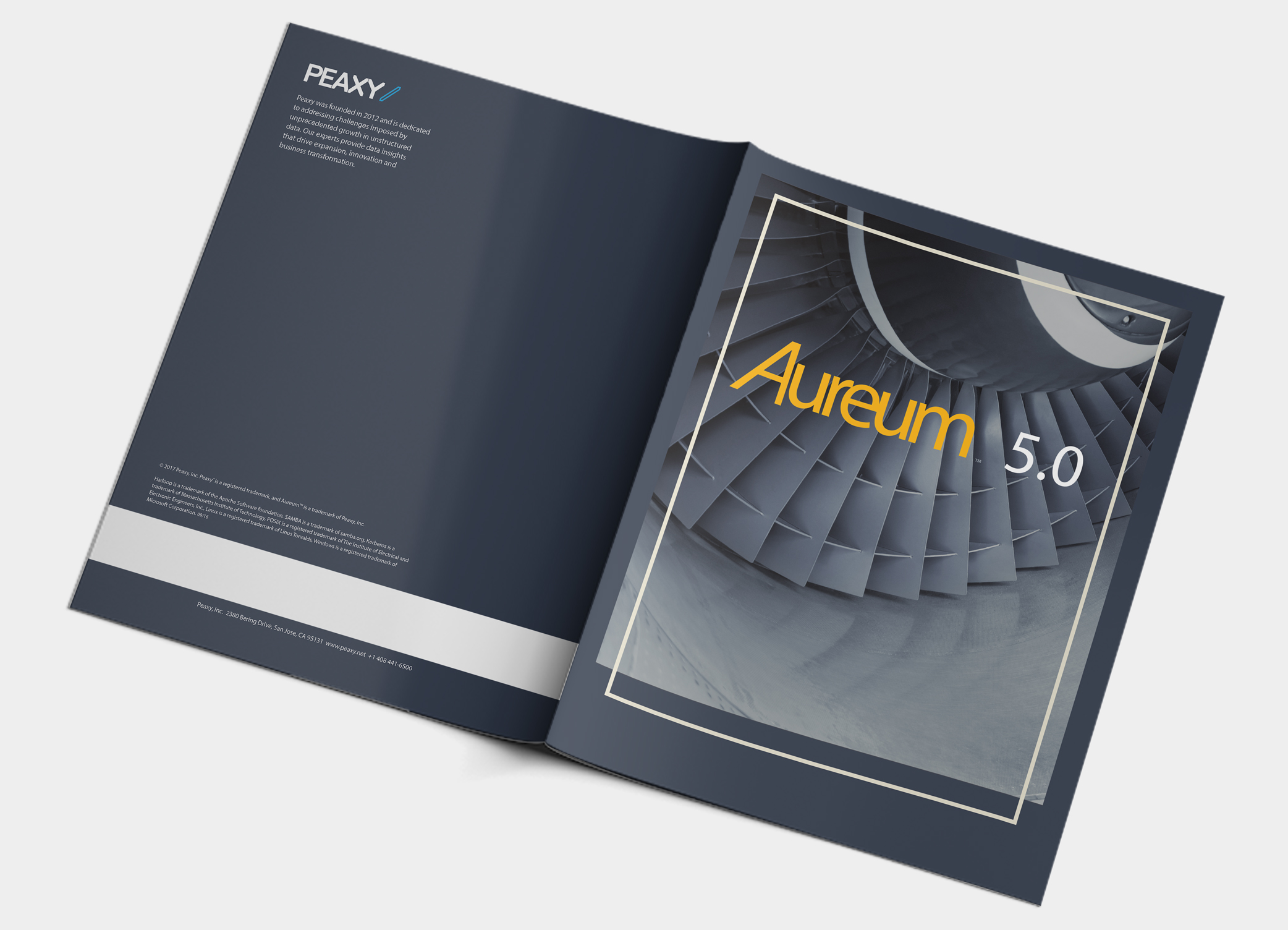 Aureum brochure — design 1