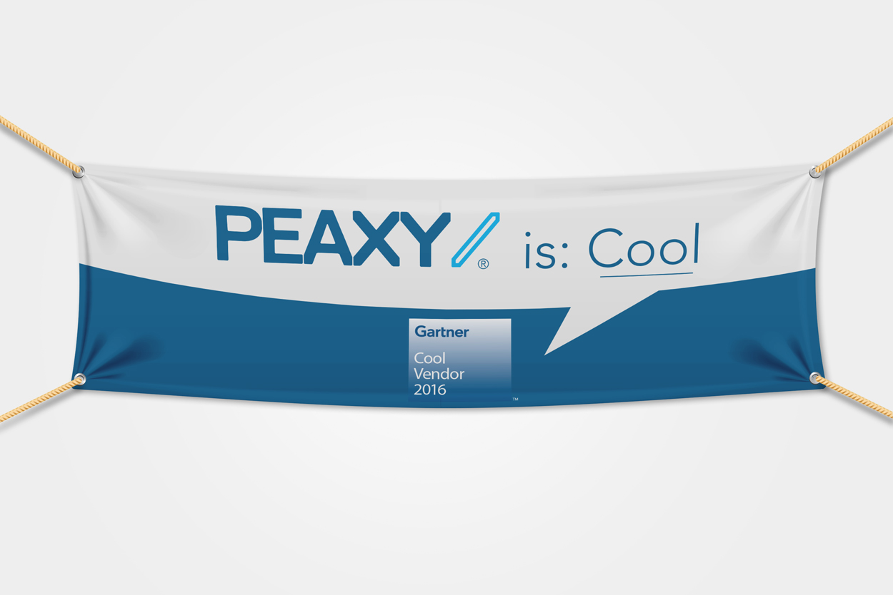 Peaxy campaign — design 2