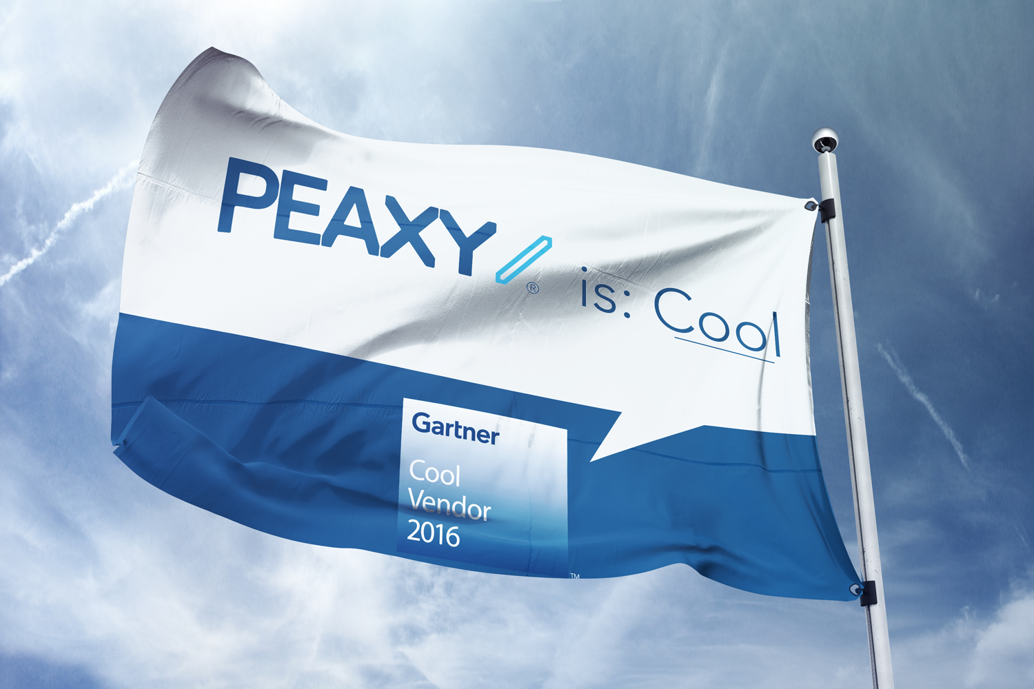 Peaxy campaign — design 1