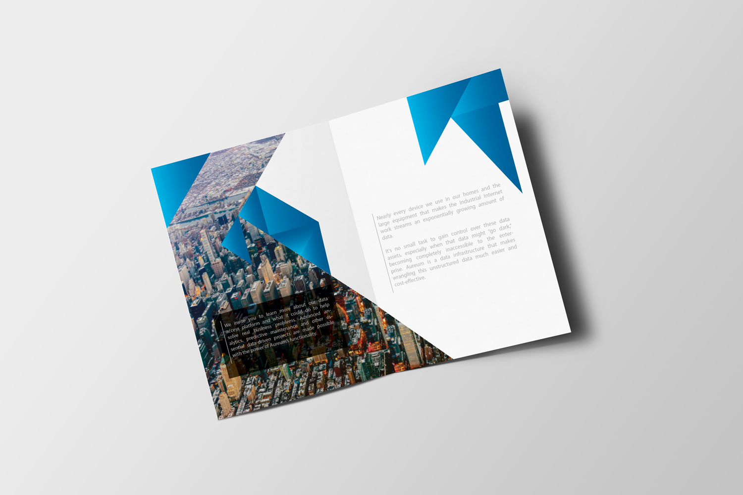 Hiller Aviation campaign — design 5
